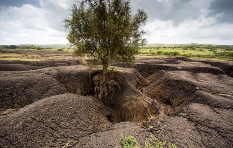 نابودی سالانه 400 هزار هکتار اراضی کشور با فرسایش خاک