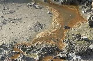 پاکسازی خاک‌های آلوده مناطق نفت خیز ایران با انعقاد قرارداد پژوهشی