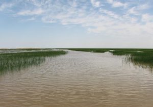 بزرگترین دریاچه آب شیرین ایران در آستانه خشک شدن