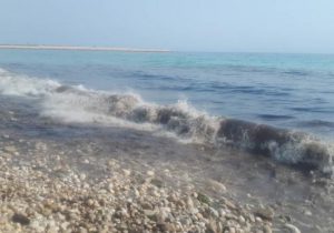 آلودگی نفتی در ساحل بندر کنگان/ عملیات پاکسازی آغاز شد+عکس