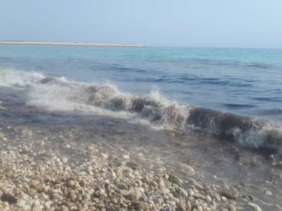 آلودگی نفتی در ساحل بندر کنگان/ عملیات پاکسازی آغاز شد+عکس