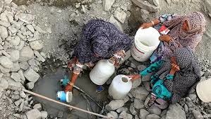 نیشکر و برنج، آب خوزستان را به یغما برد/ انتقال آب برای کشاورزی جنایت زیست محیطی است/ تمام دشت‌های اطراف تهران را خشک می‌کنیم