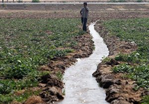 تعیین الگوی کشت و تغییر مصرف آب برای مدیریت آب کشاورزی