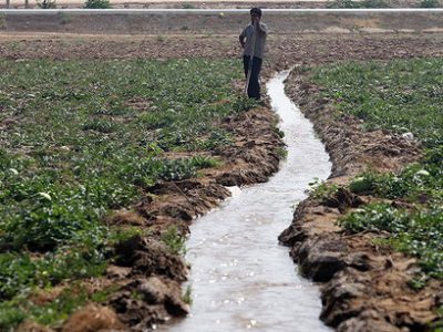 مشکل آب کشاورزان باوی تا ۸ روز آینده حل می‌شود