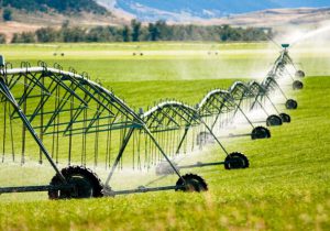 ورود کمیسیون اصل نود به استفاده از آب‌های آلوده برای مصارف کشاورزی غذایی