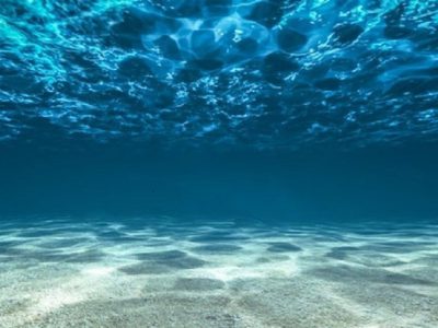 کاهش شدید سطح اکسیژن جهان به دنبال اسیدی شدن اقیانوس‌ها
