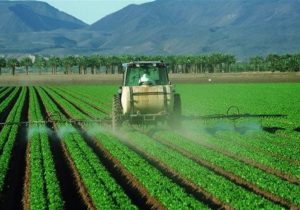 افزایش چشمگیر محصولات کشاورزی با کاهش آلاینده‌های خانواده نیتروژن!