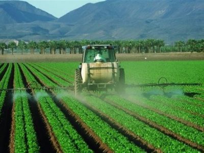 افزایش چشمگیر محصولات کشاورزی با کاهش آلاینده‌های خانواده نیتروژن!