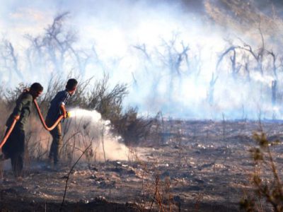 برخورد قاطع قضایی با آتش افروزان مزارع در خوزستان ضروری است