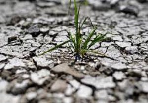 احتمال تداوم خشکسالی‌های بی‌سابقه در جهان برای مدت ۵ سال