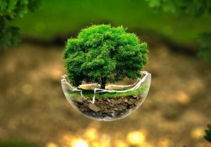 ۷ پیشنهاد زیست‌محیطی؛ از مصرف ظروف گیاهی برای نذری تا استفاده بهینه از انرژی