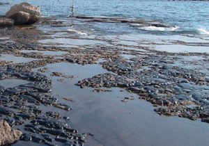 آلودگی؛ زخمی بر پیکر دریای کبود
