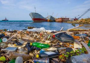 دشواری ها و چالش های حفاظت از محیط زیست دریایی