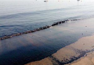 ثبت ۳۸ مورد آلودگی دریایی در آب‎های بوشهر