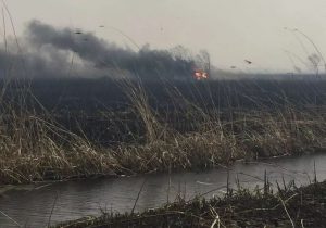 دود آتش‌سوزی در بخش عراقی تالاب هورالعظیم برخی مناطق خوزستان را دربرگرفت