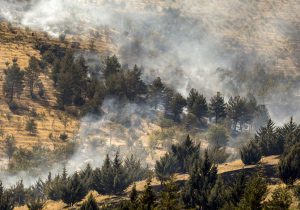 کاهش ۵۶ درصدی آتش‌سوزی در منابع طبیعی خوزستان