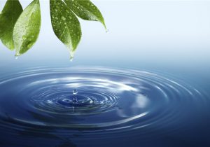 طرح جدید لاك پشت آب بان در راستای ترویج فرهنگ مدیریت مصرف بهینه آب رونمایی شد