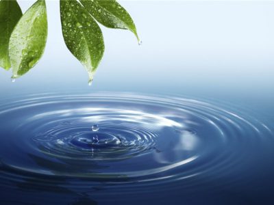 طرح جدید لاك پشت آب بان در راستای ترویج فرهنگ مدیریت مصرف بهینه آب رونمایی شد