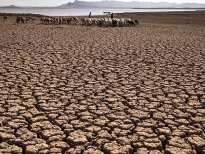 بخش وسیعی از کره زمین تحت تاثیر خشکسالی