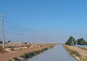 توزیع آب کشت پاییزه در شبکه‌های آبیاری زهره و جراحی آغاز شد