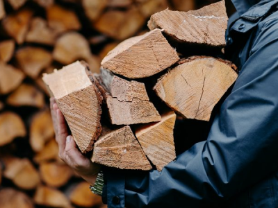 گسترش چوب‌دزدی در اروپا برای گرم کردن منازل
