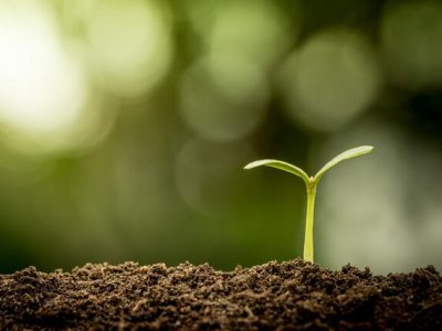 اولویت‌های ۲۲ گانه محیط زیست برای حفاظت از خاک