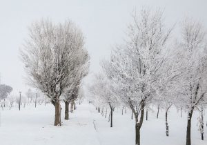 بارش برف سنگین برق ۵۶ روستای کردستان را قطع کرد/ اتصال مجدد شبکه برق ۴۹ روستای استان