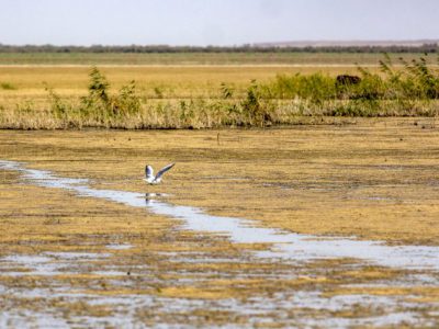 کاهش بارش‌ها و افزایش تبخیر آب در حوضه‌های آبریز جنوبی کشور