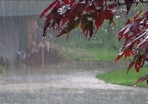 افت شدید بارش‌ها در ۷ استان کشور+جدول