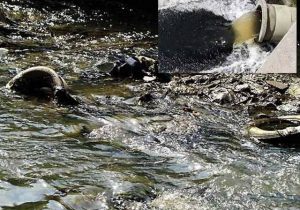 هشدار محیط زیست به واحدهای متخلف حاشیه رودخانه جاجرود