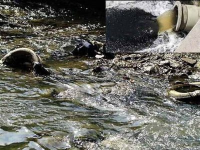 هشدار محیط زیست به واحدهای متخلف حاشیه رودخانه جاجرود