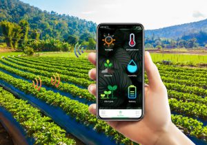 نخستین مزرعه هوشمند کشور راه‌اندازی می‌شود