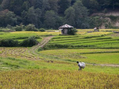 قانون ارث؛ تهدیدی برای کشاورزی پایدار